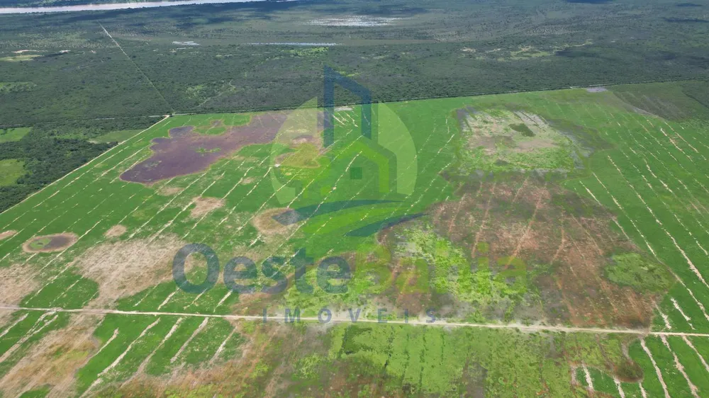 Fazenda, 10000 hectares - Foto 11