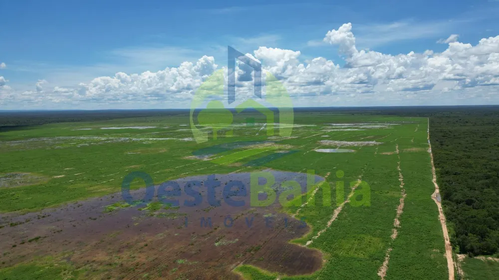 Fazenda, 10000 hectares - Foto 9