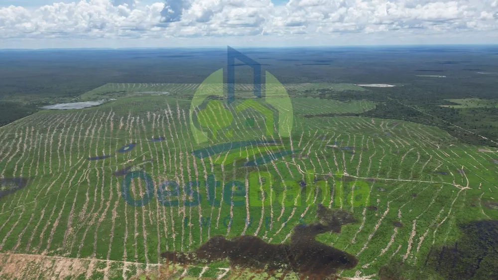 Fazenda, 10000 hectares - Foto 8