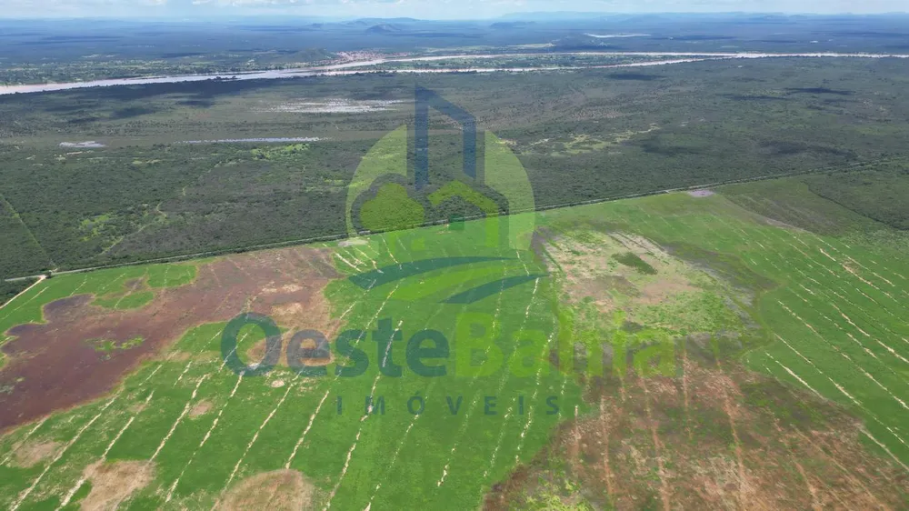 Fazenda, 10000 hectares - Foto 6