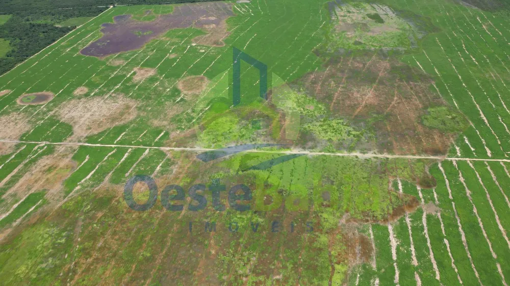 Fazenda, 10000 hectares - Foto 12