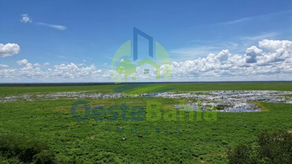 Fazenda, 10000 hectares - Foto 2