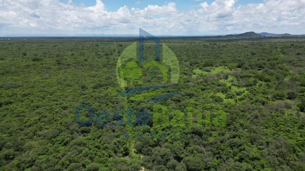 Fazenda, 10000 hectares - Foto 4