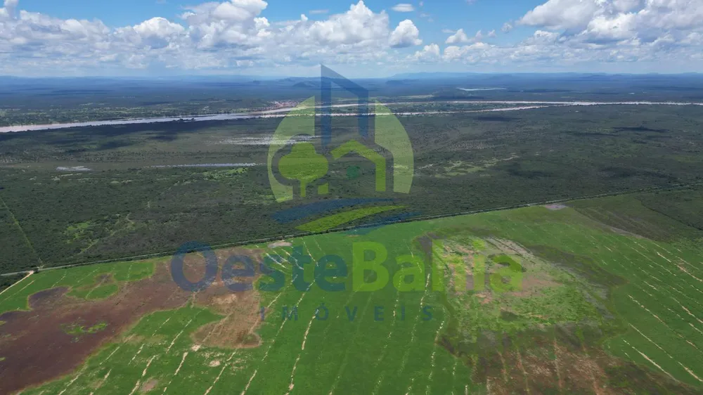 Fazenda, 10000 hectares - Foto 10