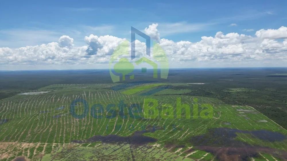 Fazenda, 10000 hectares - Foto 7