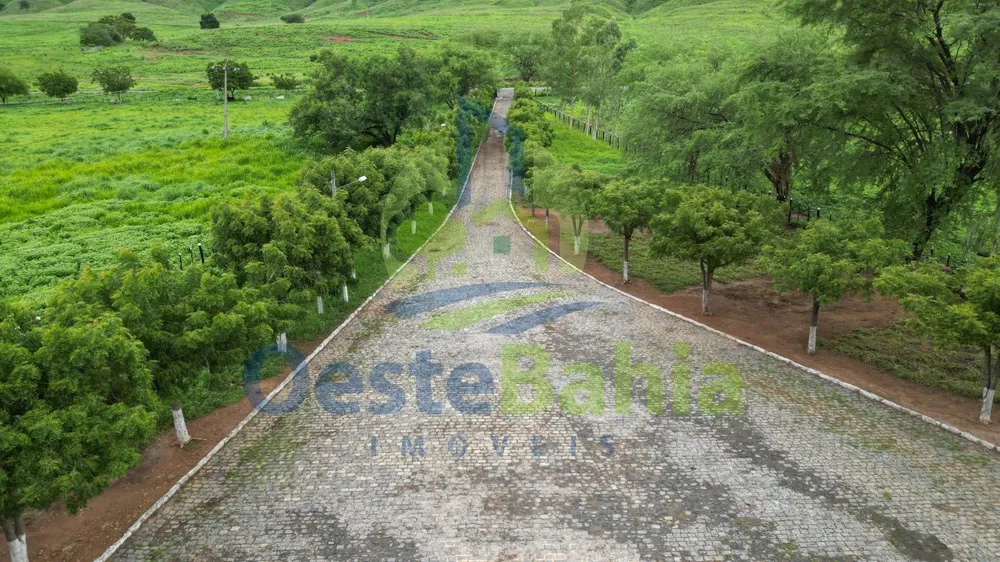 Fazenda, 509 hectares - Foto 10