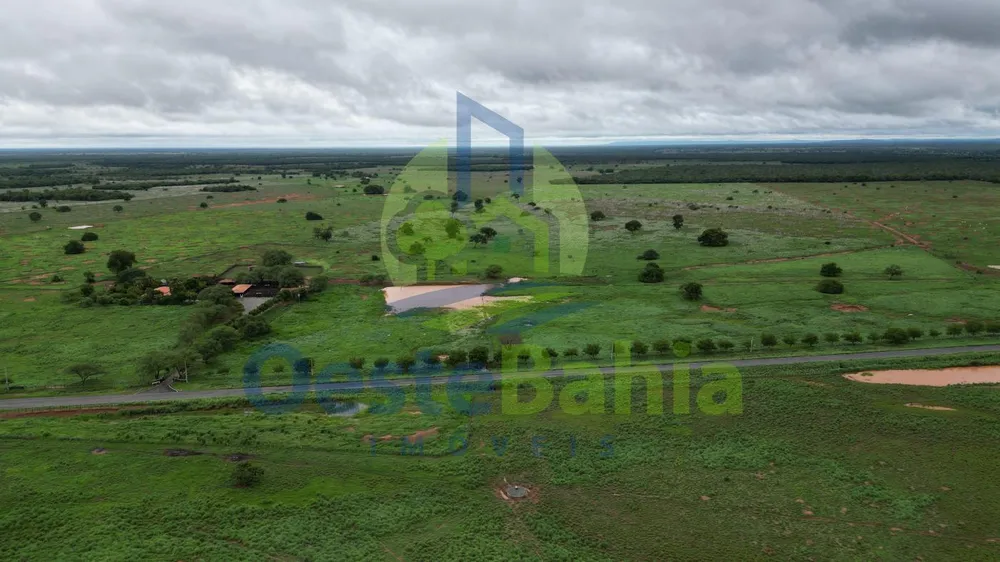 Fazenda, 509 hectares - Foto 7
