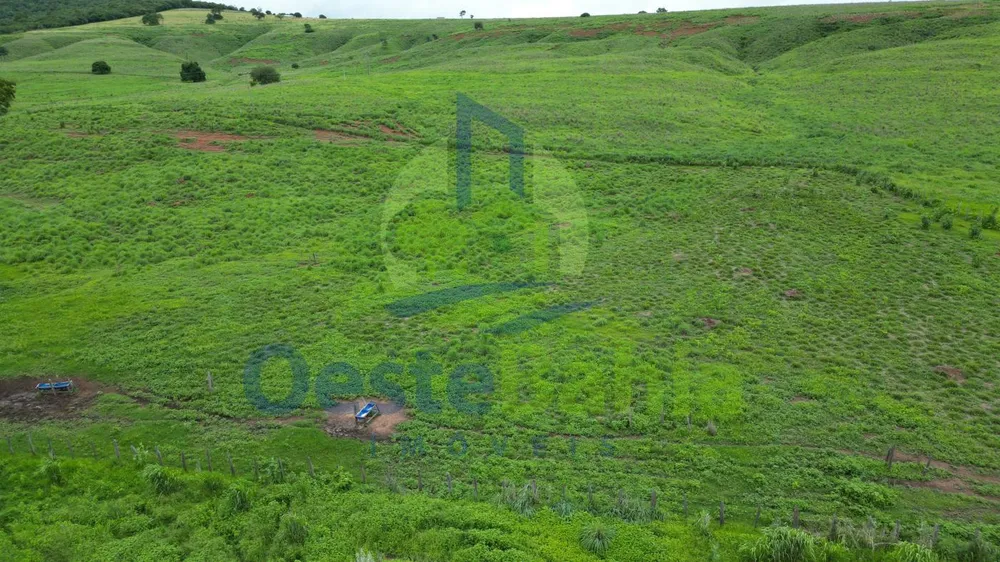 Fazenda, 509 hectares - Foto 11