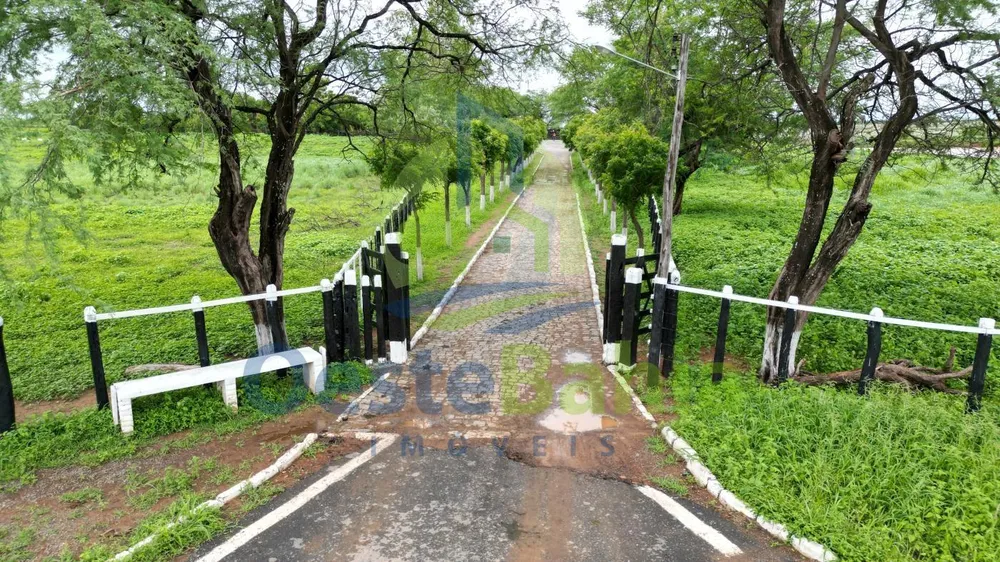 Fazenda, 509 hectares - Foto 12