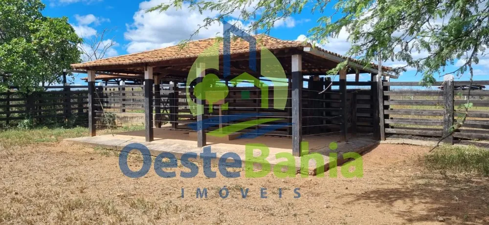 Fazenda, 509 hectares - Foto 8