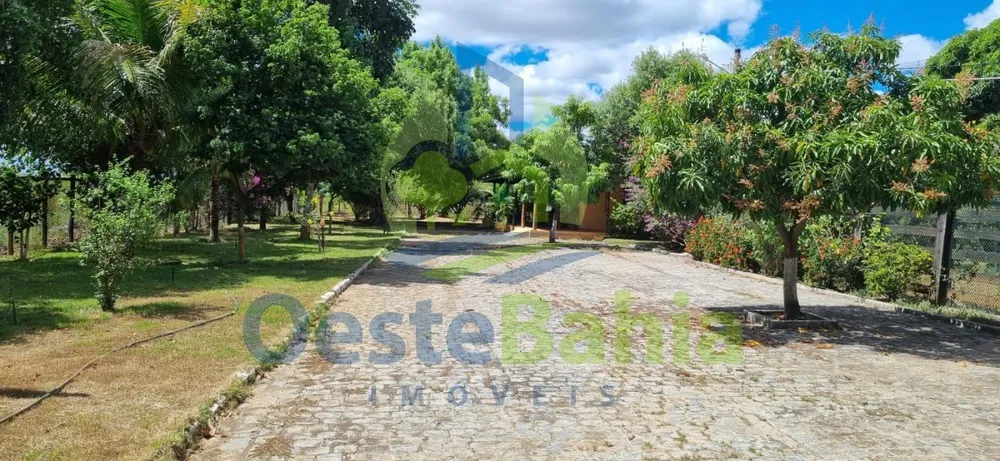 Fazenda, 509 hectares - Foto 4