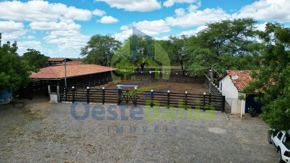 Fazenda, 509 hectares - Foto 3