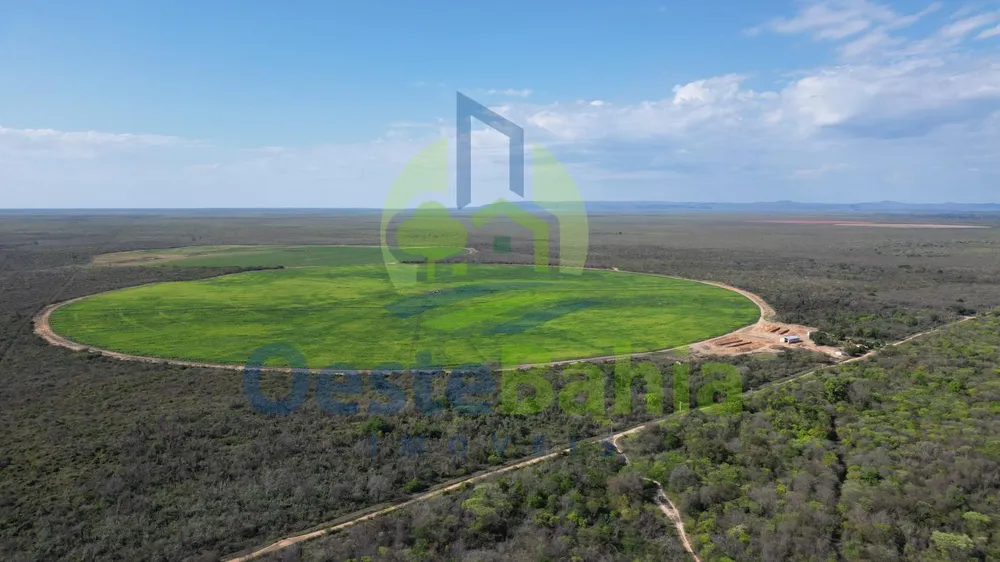 Fazenda, 950 hectares - Foto 3
