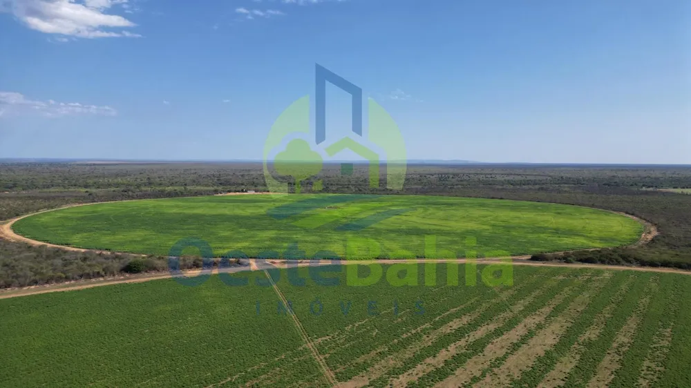 Fazenda, 950 hectares - Foto 7