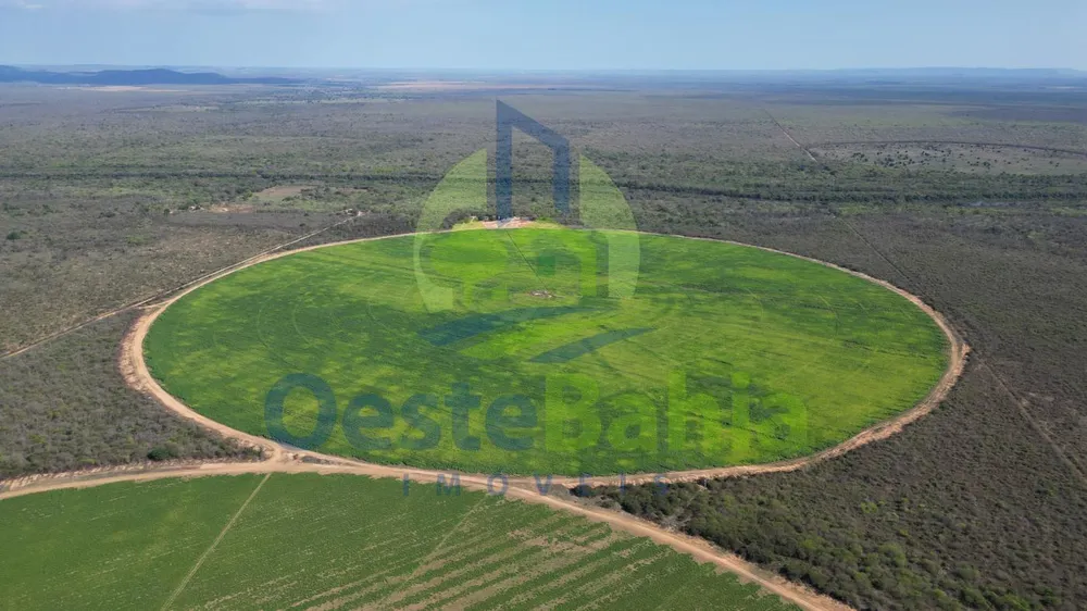 Fazenda, 950 hectares - Foto 9