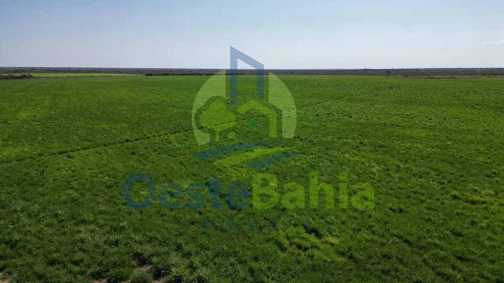 Fazenda, 950 hectares - Foto 12