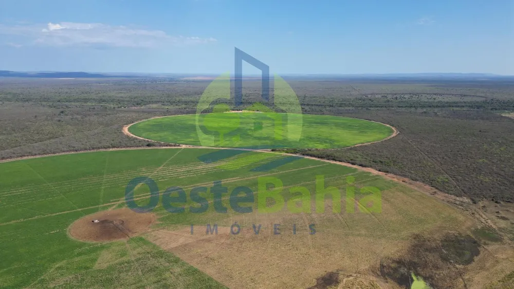 Fazenda, 950 hectares - Foto 8