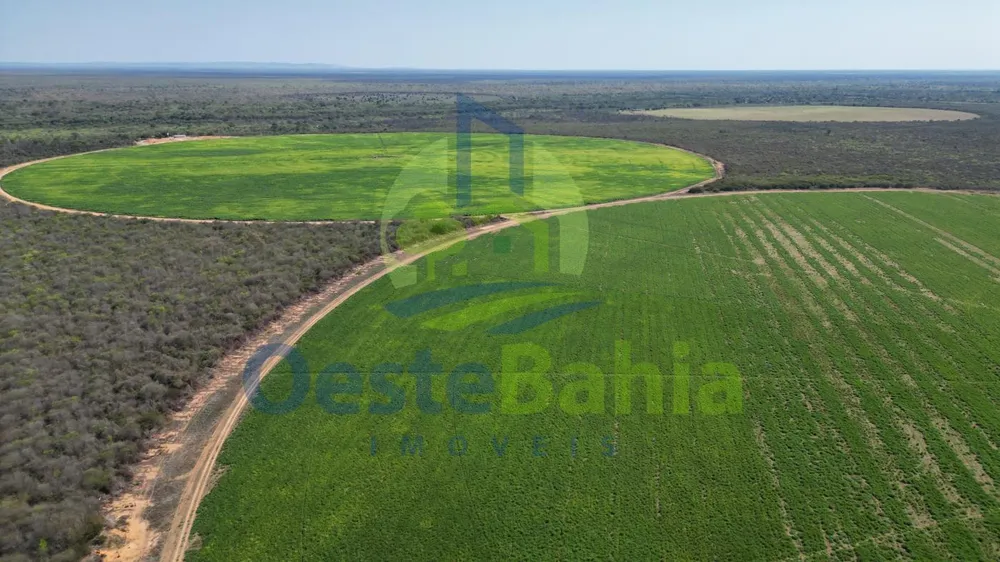 Fazenda, 950 hectares - Foto 11