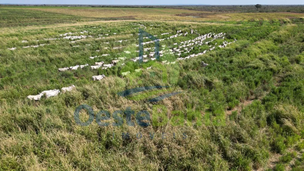 Fazenda, 950 hectares - Foto 10