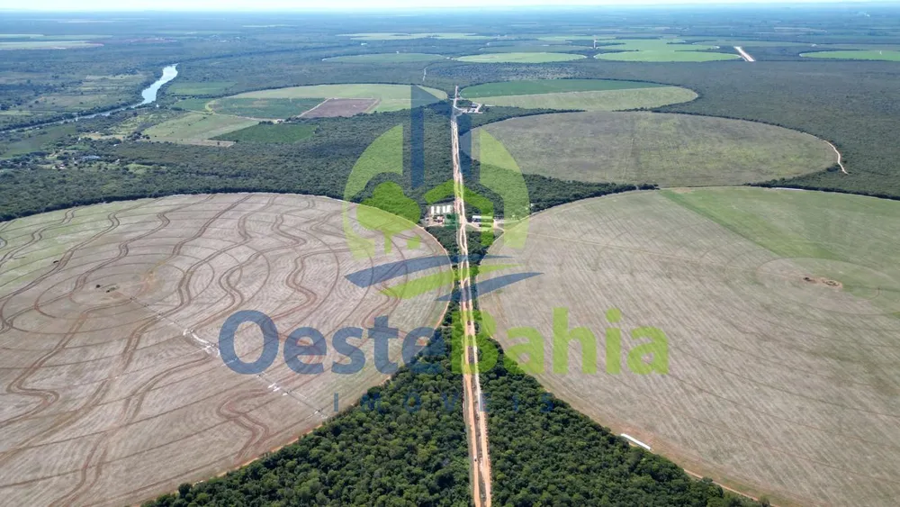 Fazenda, 354 hectares - Foto 6