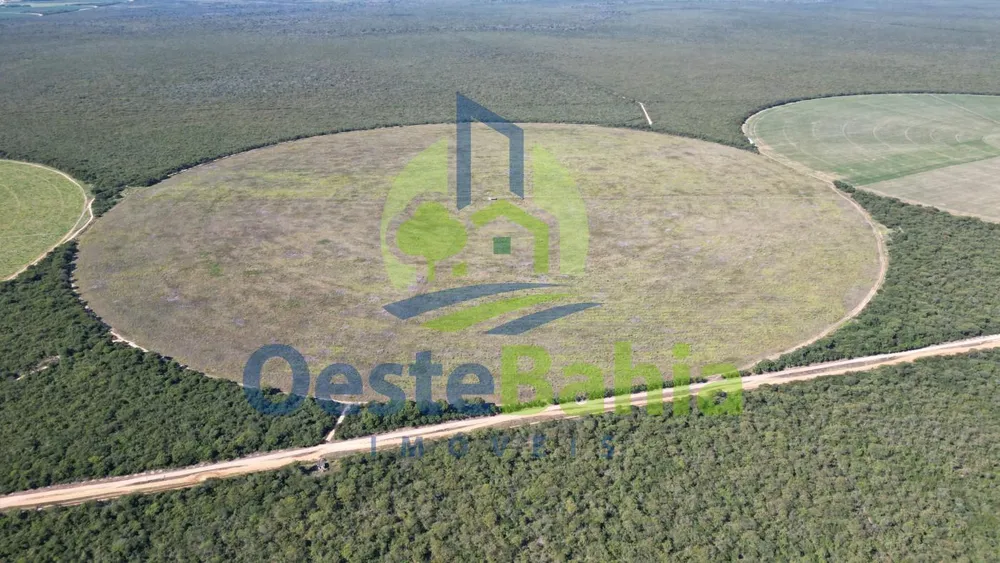 Fazenda, 354 hectares - Foto 4