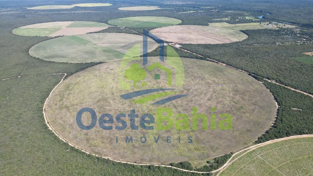 Fazenda, 354 hectares - Foto 7