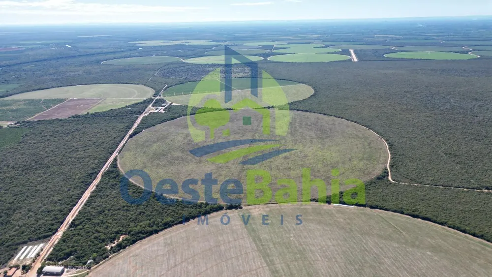 Fazenda, 354 hectares - Foto 8