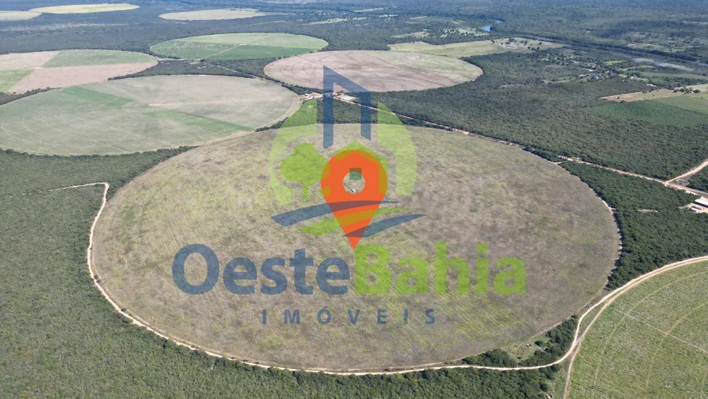 Fazenda, 354 hectares - Foto 2