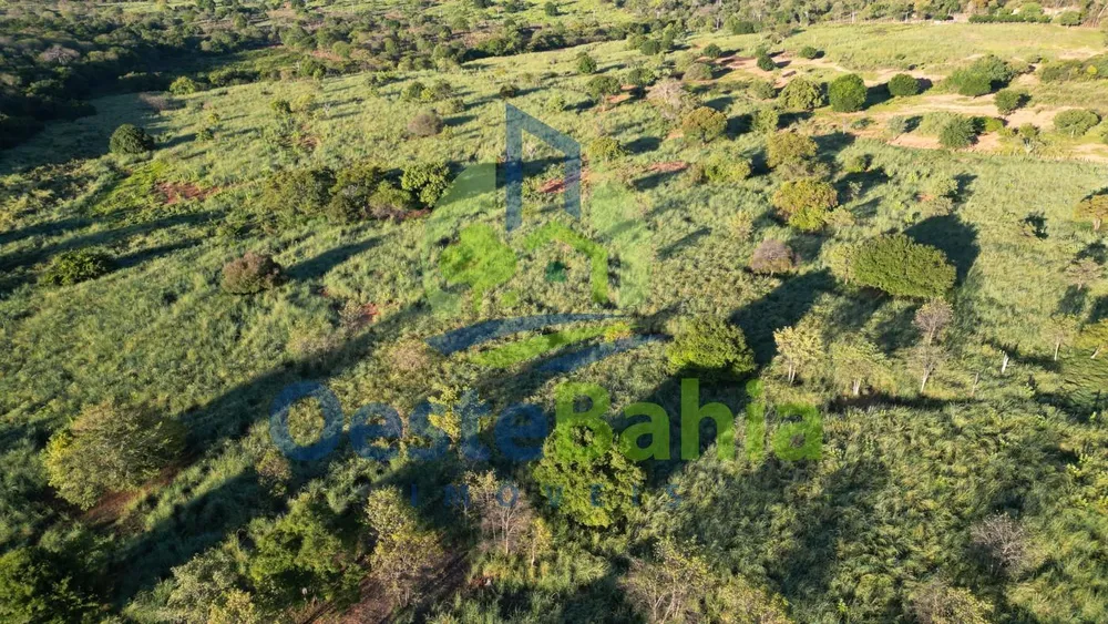 Fazenda, 272 hectares - Foto 3