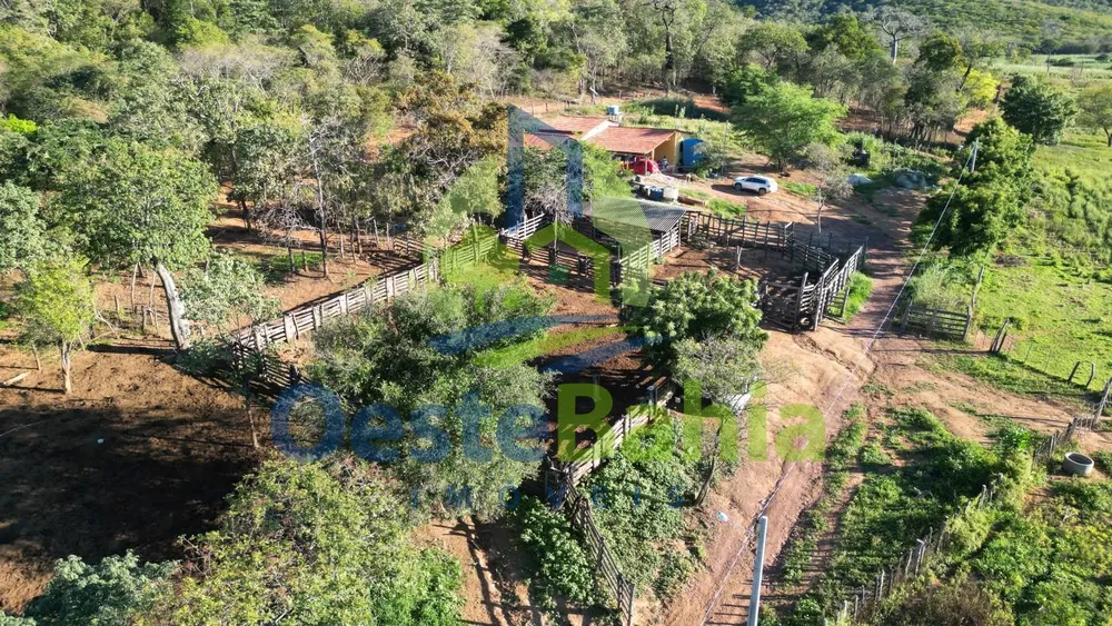 Fazenda, 272 hectares - Foto 7
