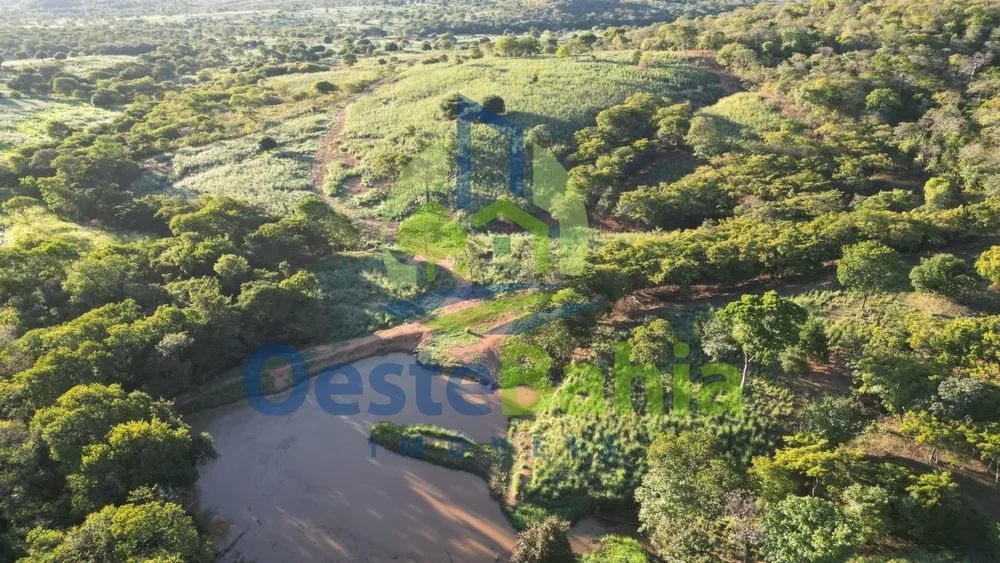 Fazenda, 272 hectares - Foto 4