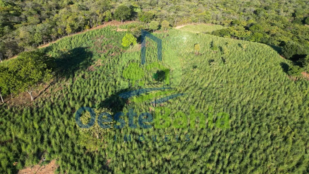 Fazenda, 272 hectares - Foto 6