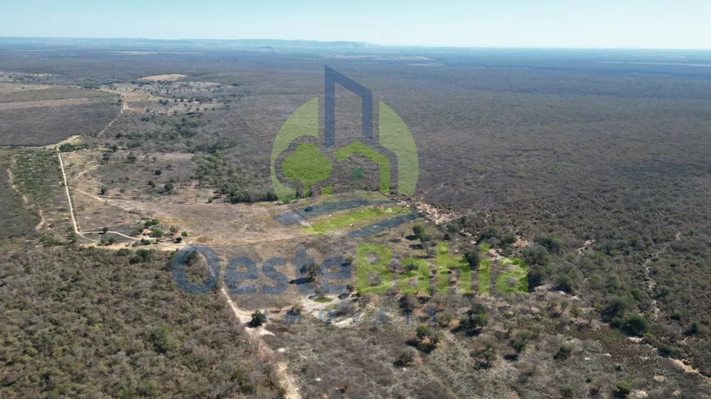 Fazenda, 1126 hectares - Foto 2