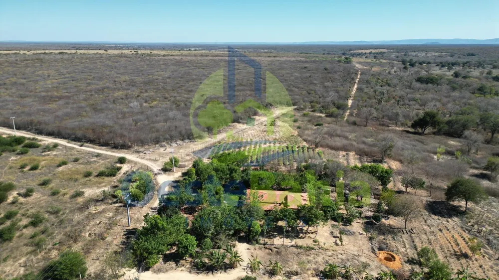 Fazenda, 1126 hectares - Foto 1