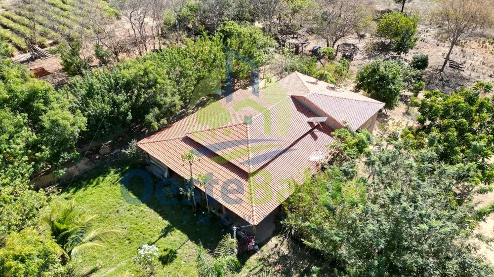 Fazenda, 1126 hectares - Foto 8