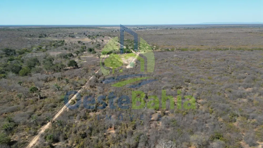 Fazenda, 1126 hectares - Foto 4