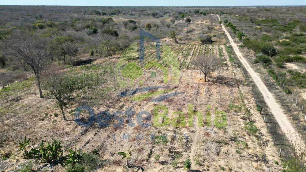 Fazenda, 1126 hectares - Foto 10