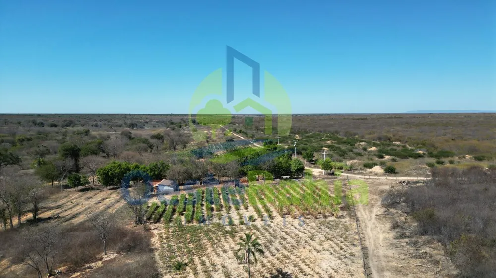 Fazenda, 1126 hectares - Foto 7