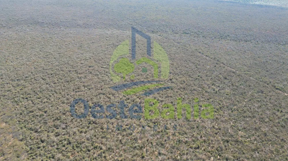 Fazenda, 1126 hectares - Foto 9