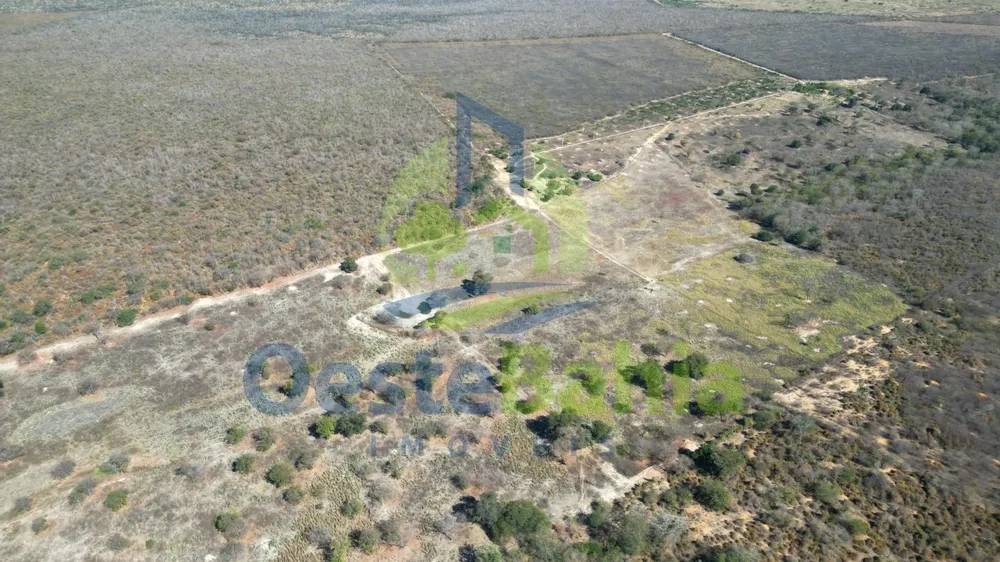 Fazenda, 1126 hectares - Foto 12