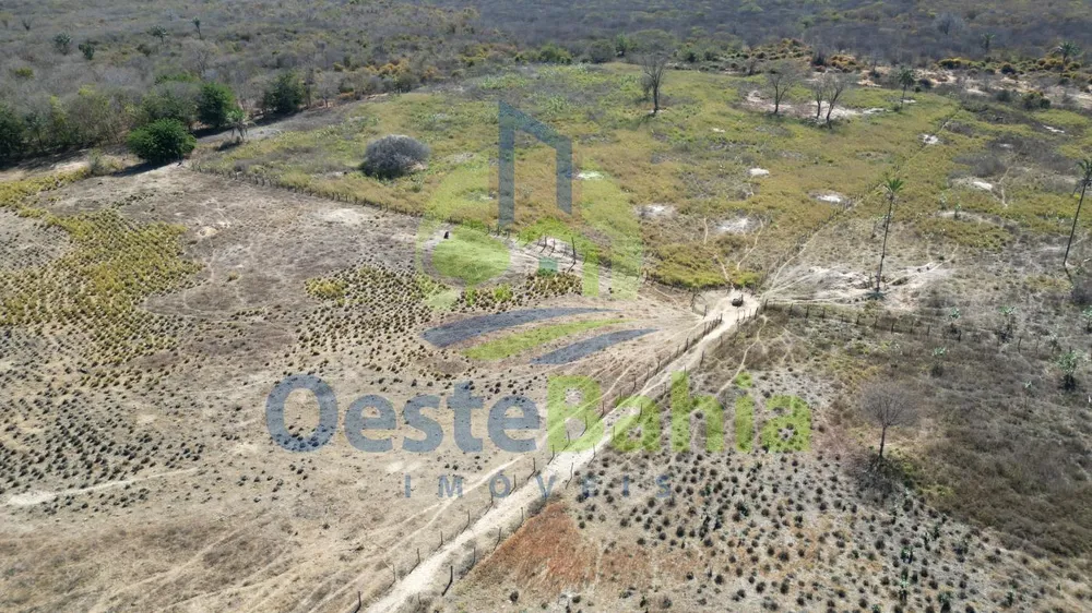 Fazenda, 1126 hectares - Foto 6