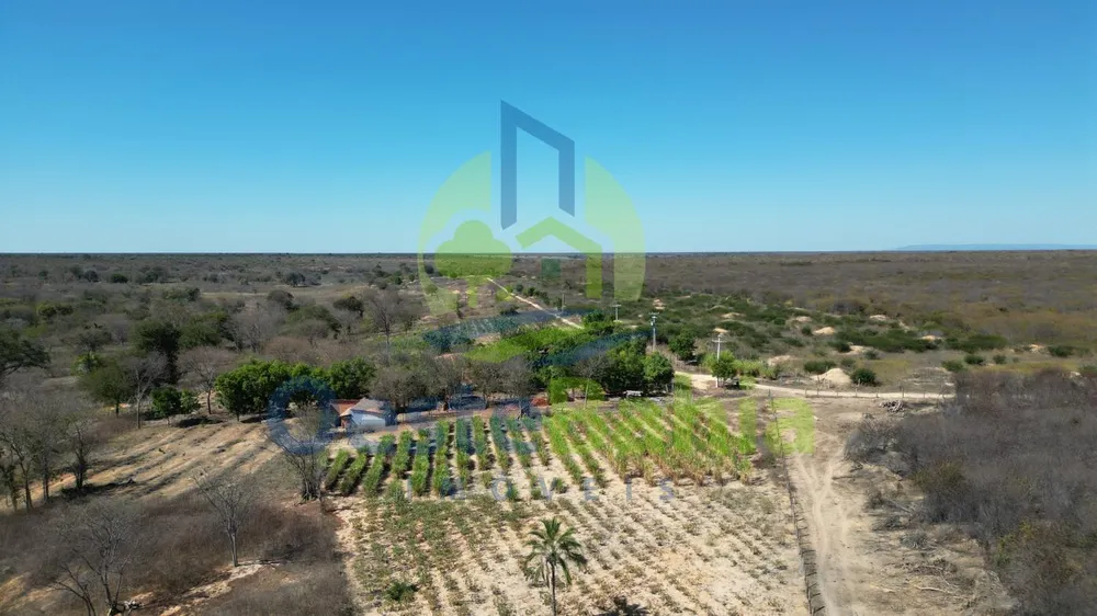 Fazenda, 1126 hectares - Foto 11