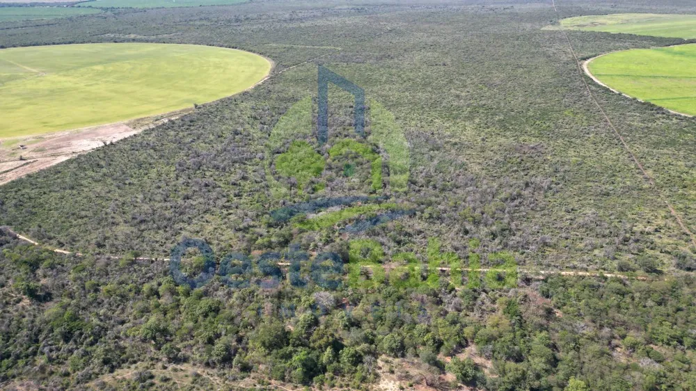 Fazenda, 433 hectares - Foto 6