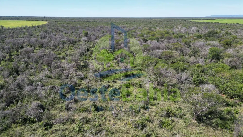 Fazenda, 433 hectares - Foto 9