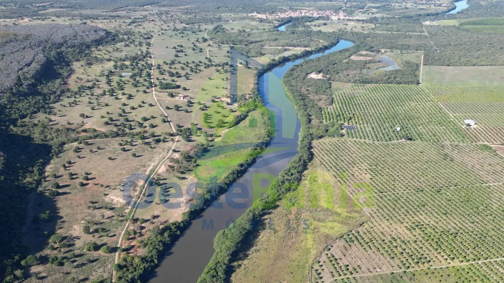 Fazenda, 710 hectares - Foto 9