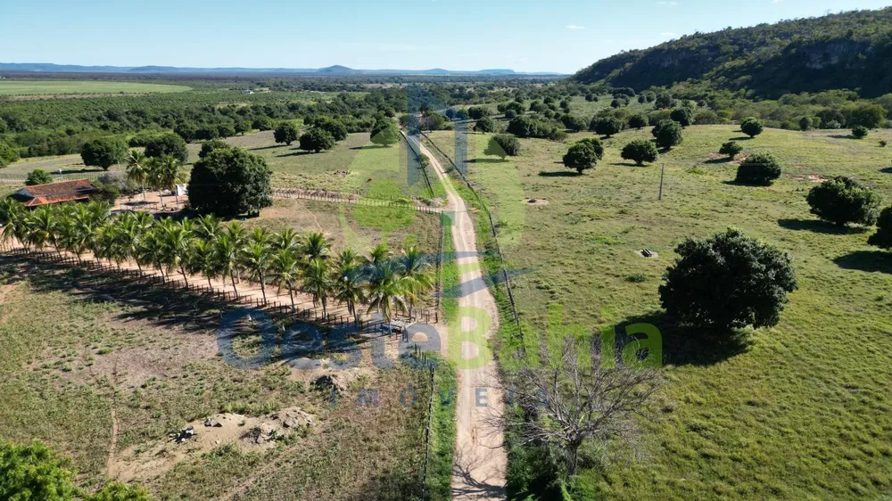 Fazenda, 710 hectares - Foto 3
