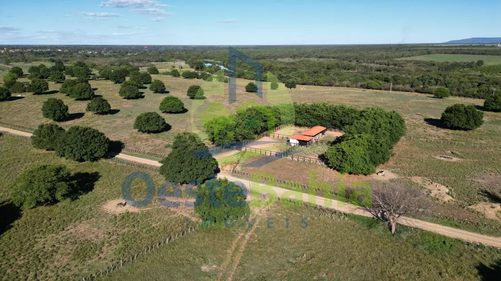 Fazenda, 710 hectares - Foto 8