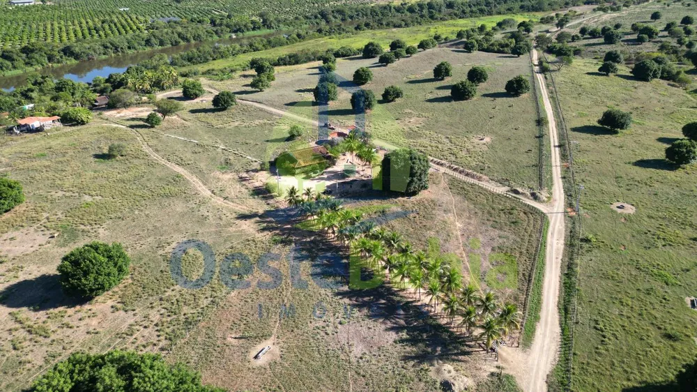 Fazenda, 710 hectares - Foto 6