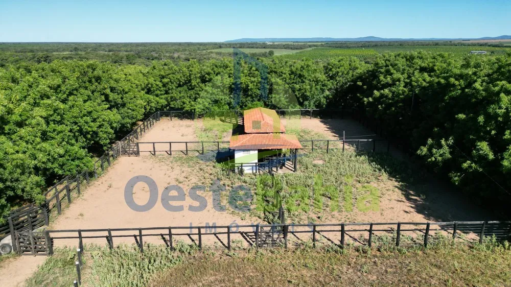 Fazenda, 710 hectares - Foto 2