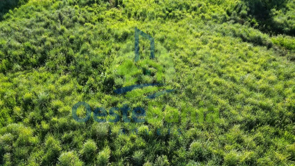 Fazenda, 500 hectares - Foto 3